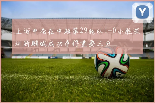 上海申花在中超第29轮以1-0小胜深圳新鹏城成功夺得重要三分