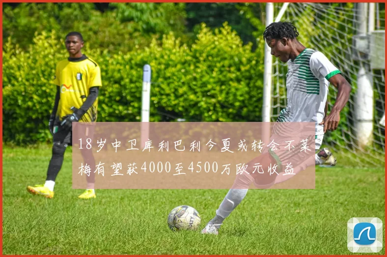 18岁中卫库利巴利今夏或转会不莱梅有望获4000至4500万欧元收益