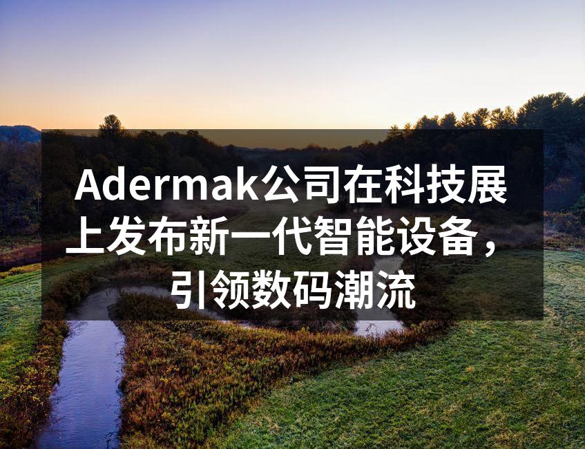 Adermak展位现场，吸引众多参观者